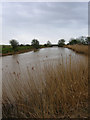 Horse Bridge, Waller's Haven in Herstmonceux & Pevensey Levels Ward