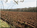Ploughed field at Allerley Mains in TD6 9LT