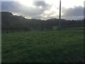 Grass verge beside the A458 near Cyfronydd in SY21 9EU