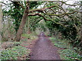 Bridleway from Lees Lane car park to the Wirral Way in CH64 4DH