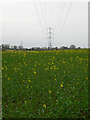 Electricity Pylon near Waterhouse Farm in Herstmonceux & Pevensey Levels Ward