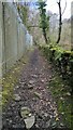 Path going up the Pontypridd Circular trail in CF37 1UH