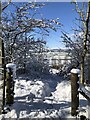 Snow covered footpath at Crowtrees nature Reserve in DH6 4QQ