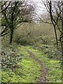 Footpath from Ludchurch to Westerton in SA67 8JE