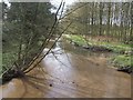 Confluence of Smestow Brook (River) and River Stour in DY7 6RR
