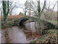 Pont Aber-bran Fach / Aber-bran Fach bridge in LD3 9NH