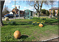 Daffodils, Walnuts and a Bus Shelter in OX14 4FW