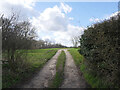 Track to Hall Farm Cottages in NR28 9UG
