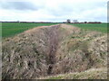 Neglected field drain in DN36 5AS