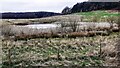Pond on NW side of A6071 east of Warren House Farm in CA8 1EY
