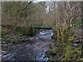 Footbridge: Rotten Calder in G72 9UB