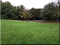 Young trees on edge of parkland area in G72 9UB