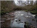 Rotten Calder: looking downstream in G72 9UB