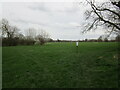 Grassland near the River Stour, Clifford Chambers in CV37 8LZ