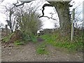 Footpath to Yeo in EX20 2DB