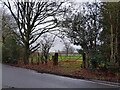Gate on Carthouse Lane in GU24 8AU