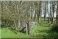 Gate into strip of woodland east of Wylye in BA12 0RJ