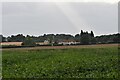 View of Red House Cottages from Falkenham Marshes in Falkenham