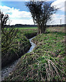 Peartree Bottom Stream in RG20 0JB