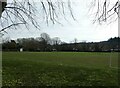 Fittleworth Playing Field: early April 2023 in RH20 1HT