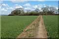 Farmland, Marlborough in SN8 4DW