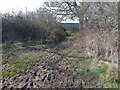 Very muddy footpath off Cope Hall Lane in Enborne