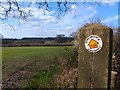 Public footpath sign in Enborne