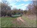 Footpath across Skinners Green Lane in Enborne