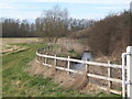 Stream by the lane between Tostock and Norton in IP30 9PT