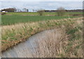 Stream between Tostock and Norton, looking east in IP30 9PT