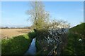 Field drain and bridleway in YO32 9TH