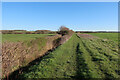 Footpath from Abbotsley in PE19 6UF