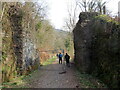 Gweddillion pont reilffordd / Remains of railway bridge in SA13 3ET
