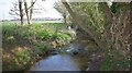 Stream alongside track to Hodsock. in Hodsock