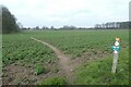 Bridleway crossing a potato field in YO26 8EB