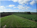 Green  dotty  toward  Nafferton  Wold in YO25 4LE