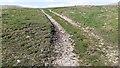 Moorland track towards North Rigg from near Sargill Gate in DL8 3JH