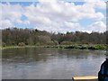 River Avon below Hale Park in SP6 2AN