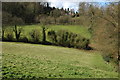Wye Valley Walk on Bull's Hill in HR9 5SD