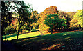 Linn Park autumn 1972 in G44 5EQ