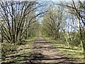 Cycle path following route of former railway in SK4 2EB