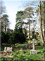 St Margaret's church - churchyard in NR10 4FL
