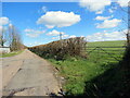 Llwybr ceffyl ger Blaenffos / A bridleway near blaenffos in Trelech Community