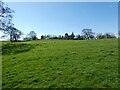 View to a country house from the Shropshire Way outside Whitchurch in SY13 4DE