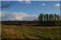 Looking down into Darsham Marshes from Yoxford Road in IP17 3EL