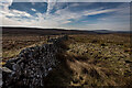 Staffordshire County Top Cheeks Hill, Boundary wall in SK17 0TJ