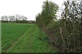 Footpath to Hole Farm in SG11 1DY