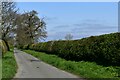 Wramplingham: Wramplingham Road in NR18 0SB