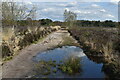 Footpath with puddle on Parley Common in BH22 8FU