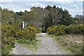 Bridleway on Parley Common in BH22 8FU